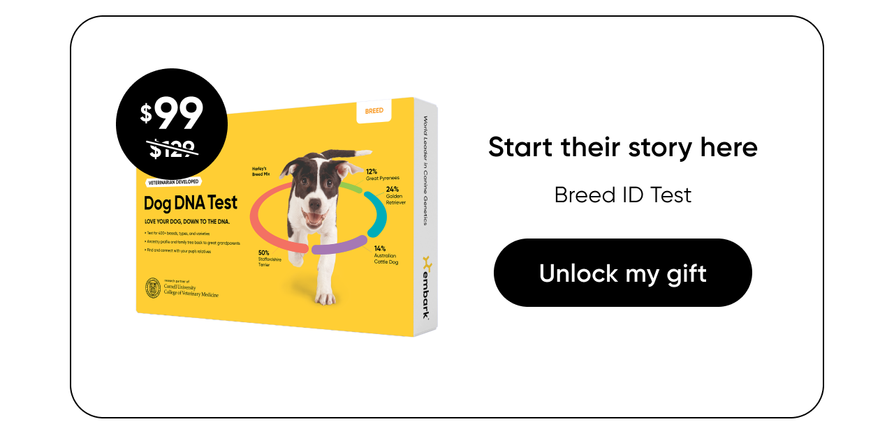 Shop Breed ID Test
