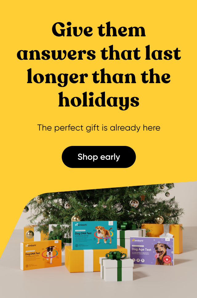 Shop early and give them answers that last longer than the holidays