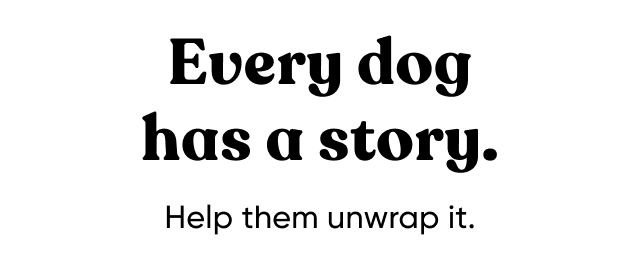 Every dog has a story. Help them unwrap it.