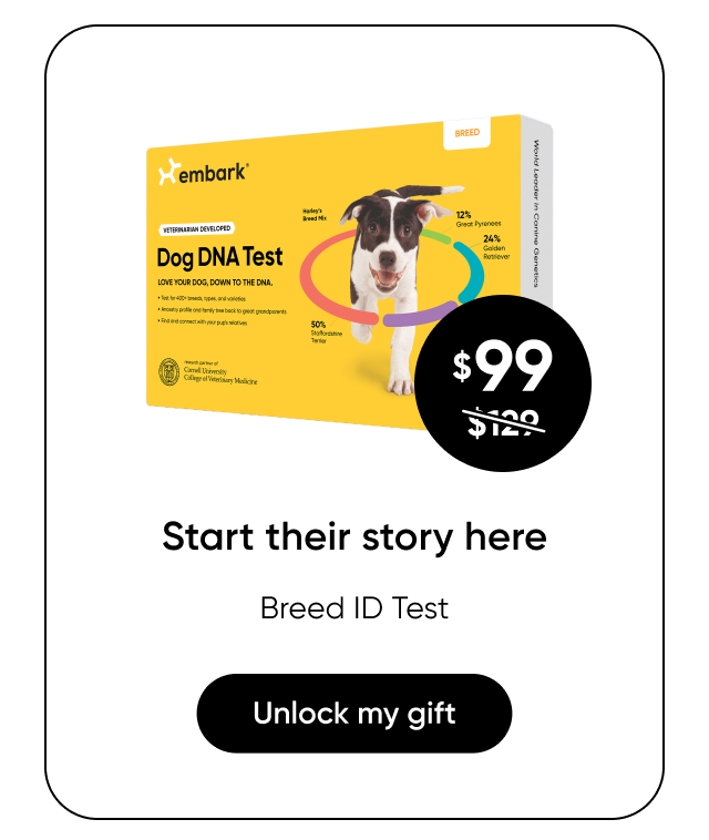 Shop Breed ID Test