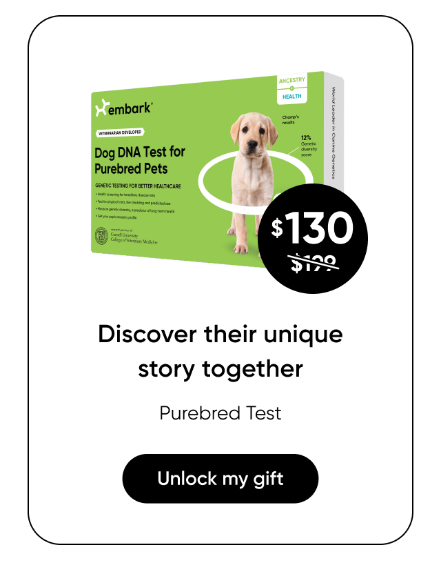 Shop Purebred Test