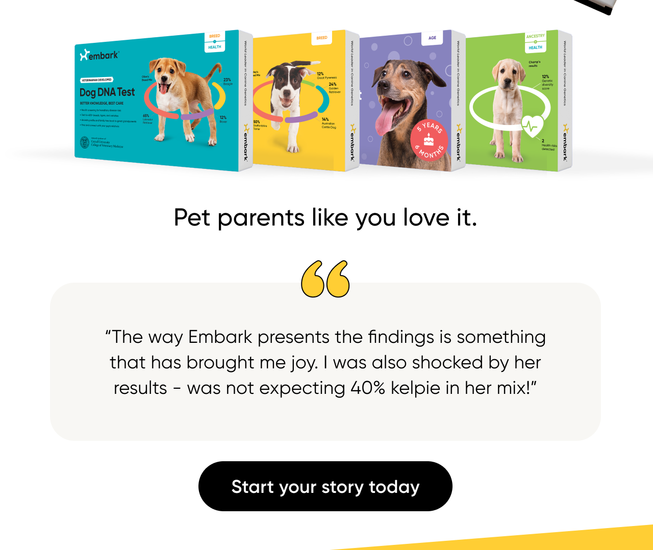 From breed mix to health insights, your pup's DNA unlocks memories you'll want to capture.