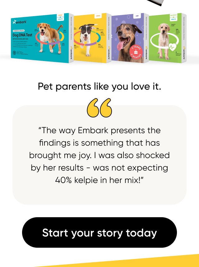 From breed mix to health insights, your pup's DNA unlocks memories you'll want to capture.