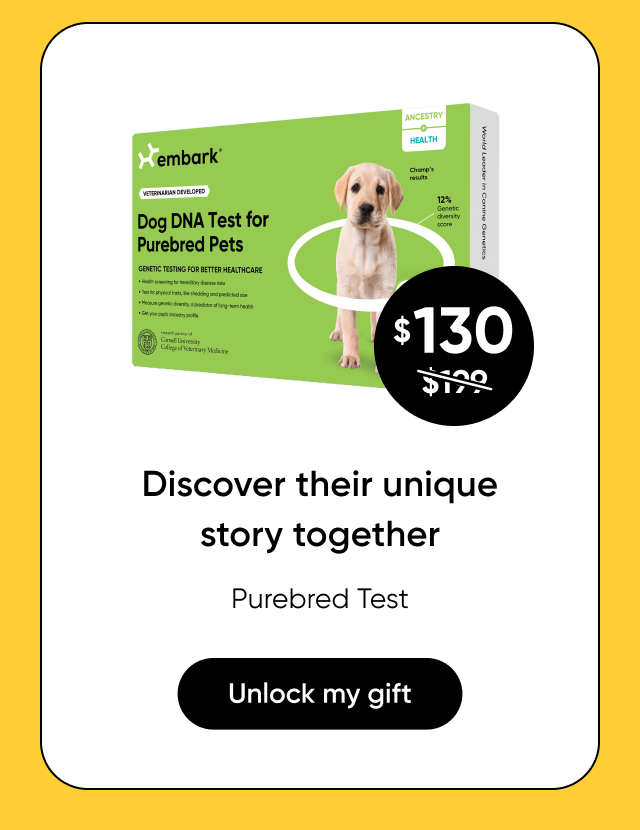 Shop Purebred Test