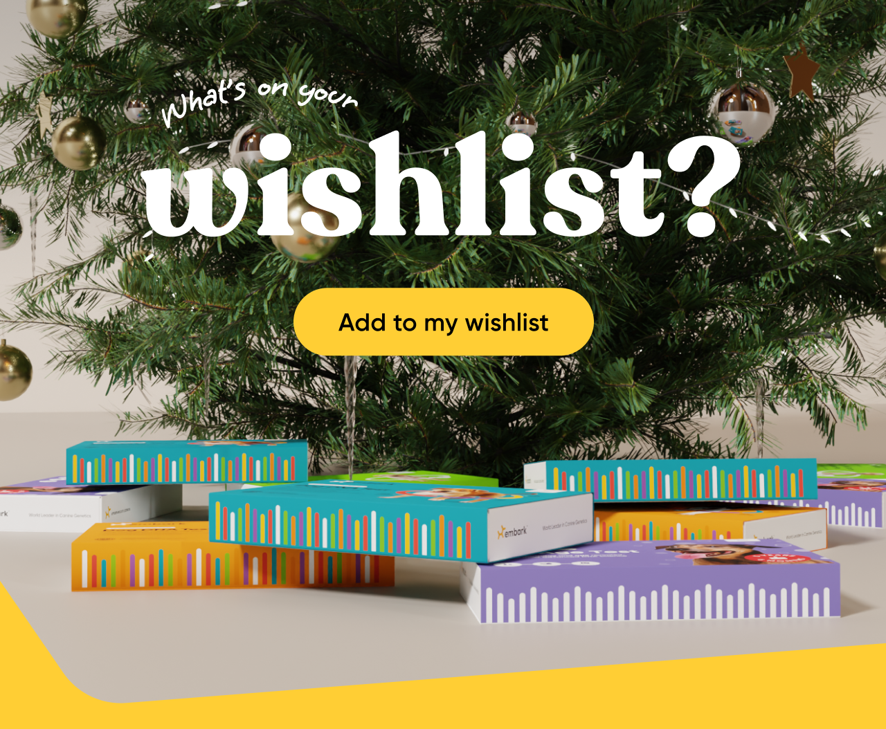 Add an Embark Dog DNA Test to your holiday wishlist