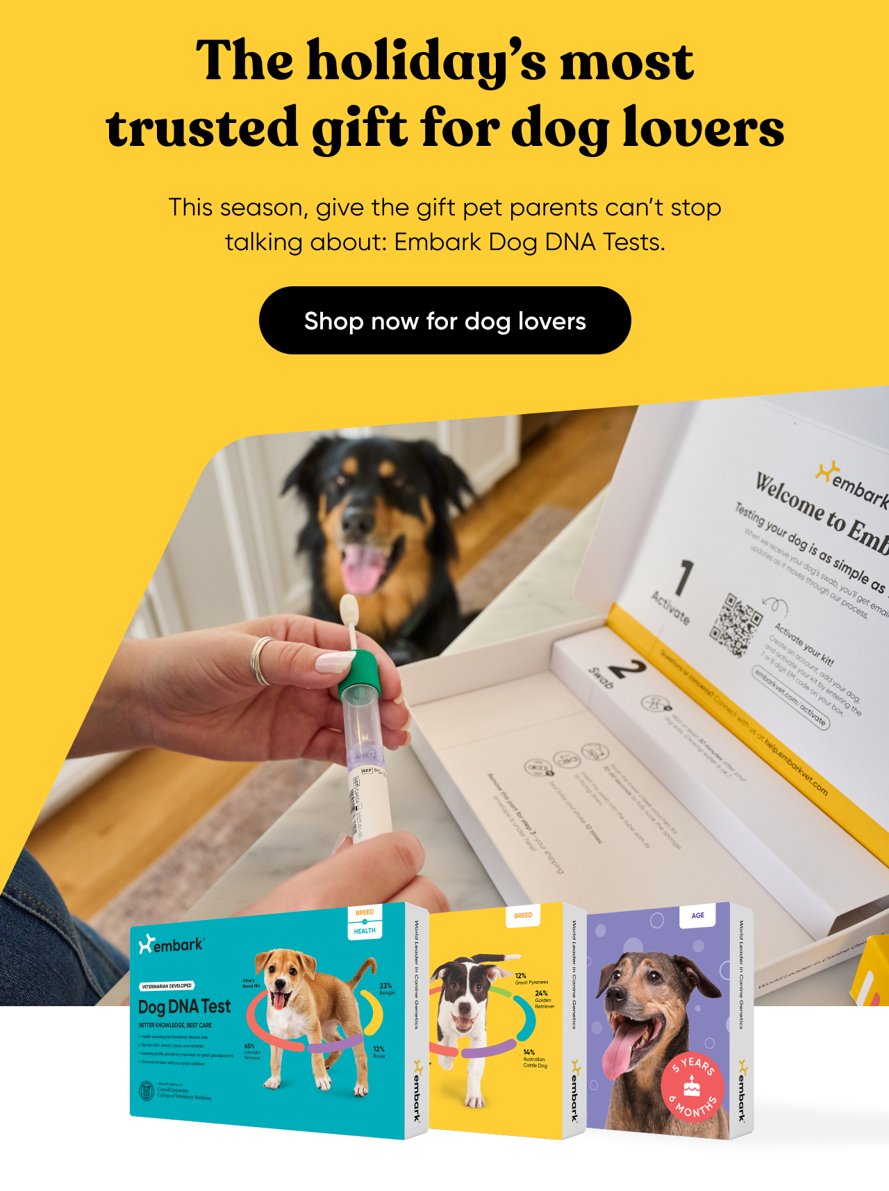 Embark Dog DNA Tests are the holiday's most trusted gift for dog lovers