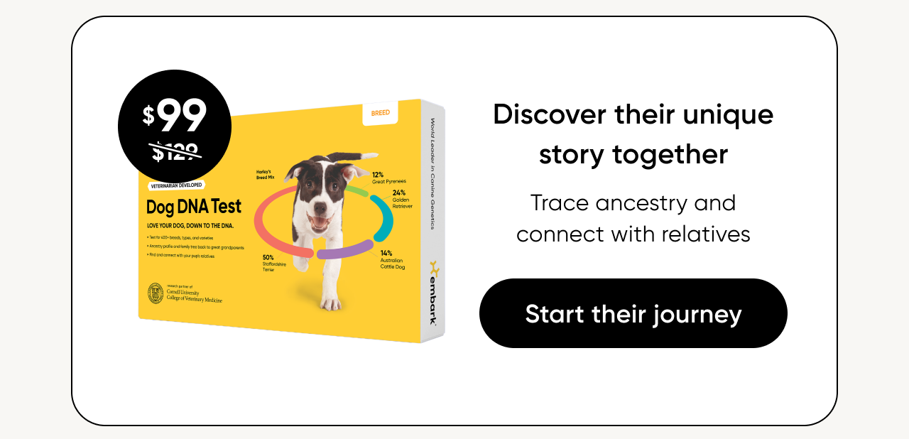 Shop Breed ID Test