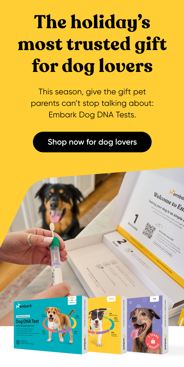 Embark Dog DNA Tests are the holiday's most trusted gift for dog lovers