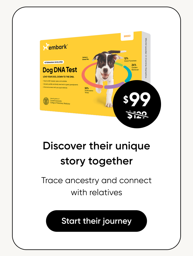 Shop Breed ID Test