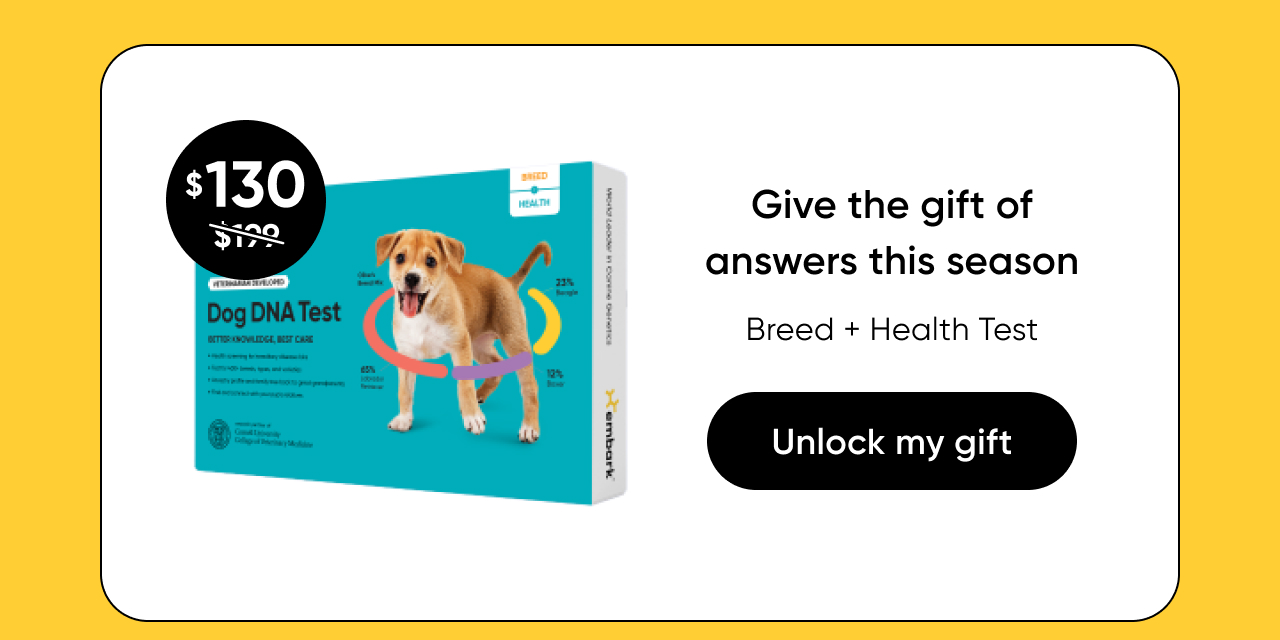Shop Breed + Health Test