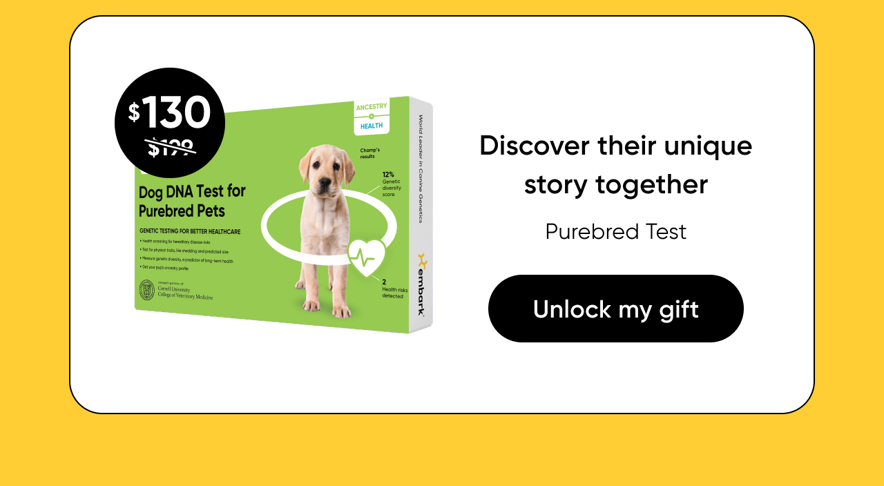 Shop Purebred Test