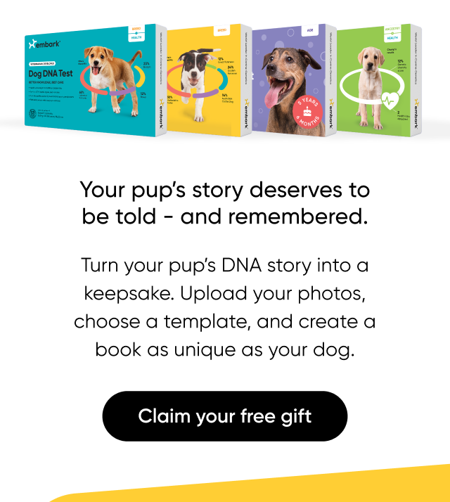 From breed mix to health insights, your pup's DNA unlocks memories you'll want to capture.