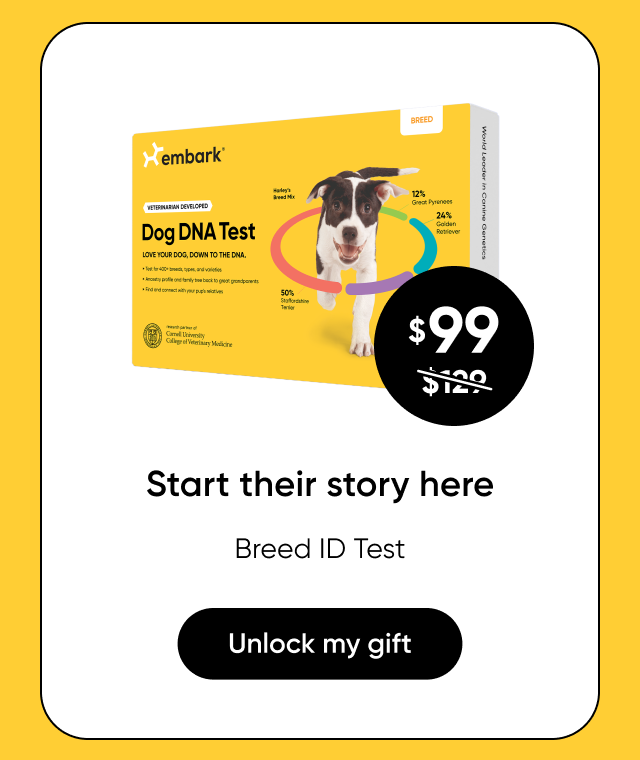 Shop Breed ID Test