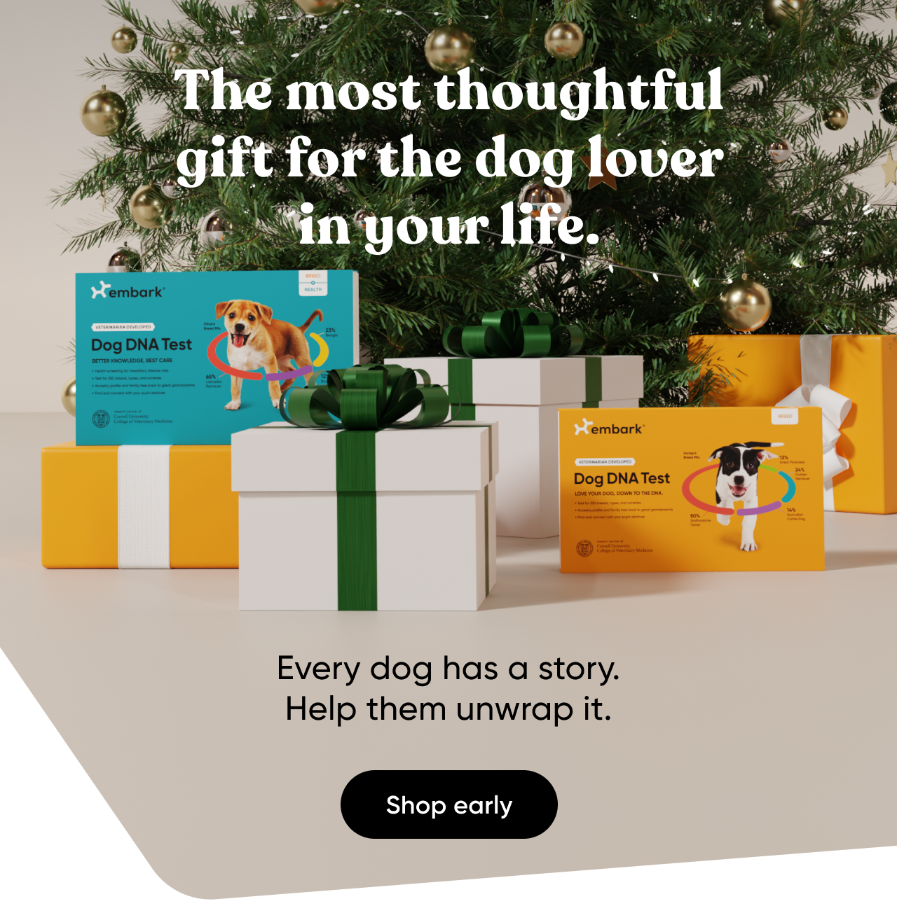Embark Dog DNA Tests are the holiday's most trusted gift for dog lovers