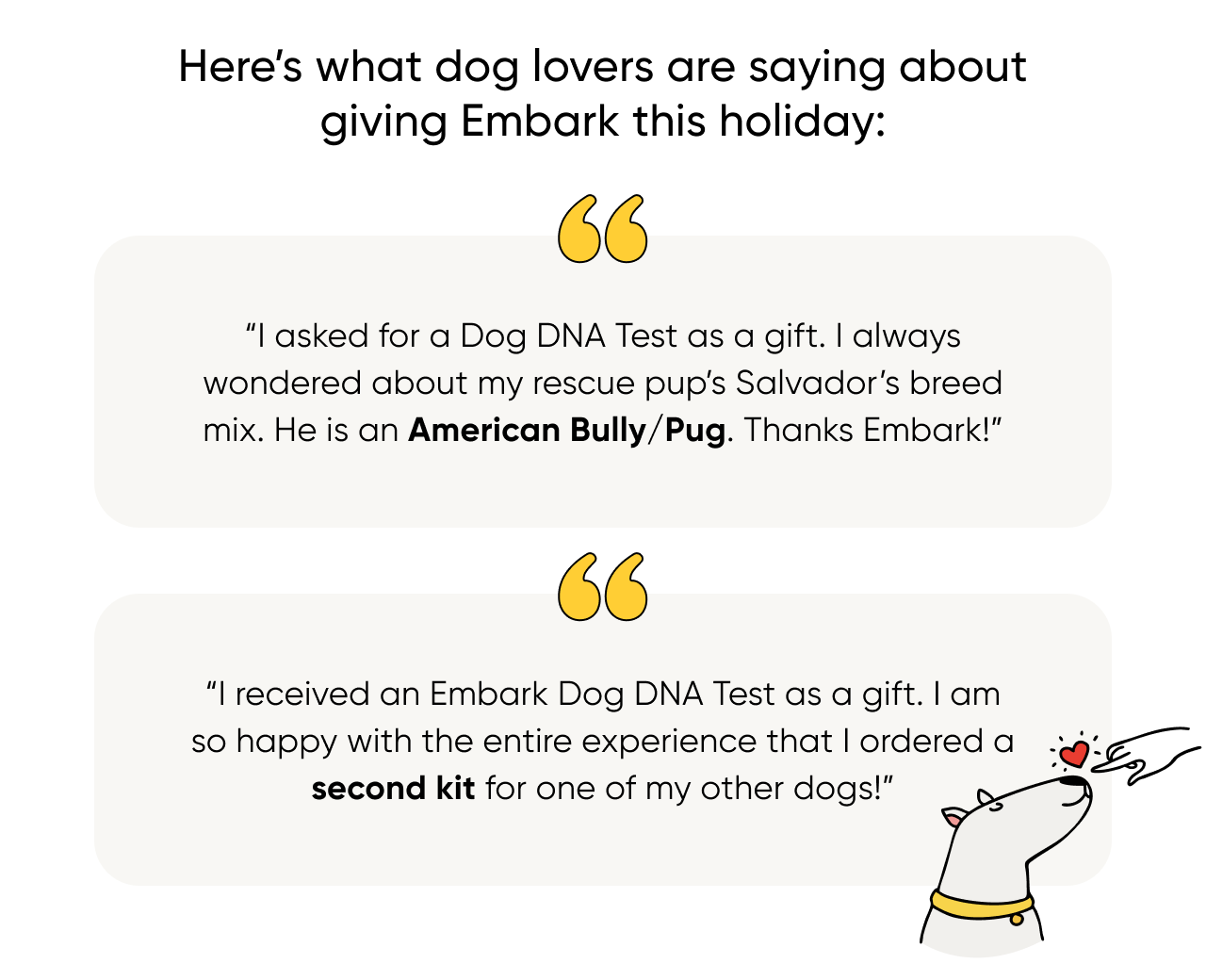 Embark Dog DNA Tests are the holiday's most trusted gift for dog lovers