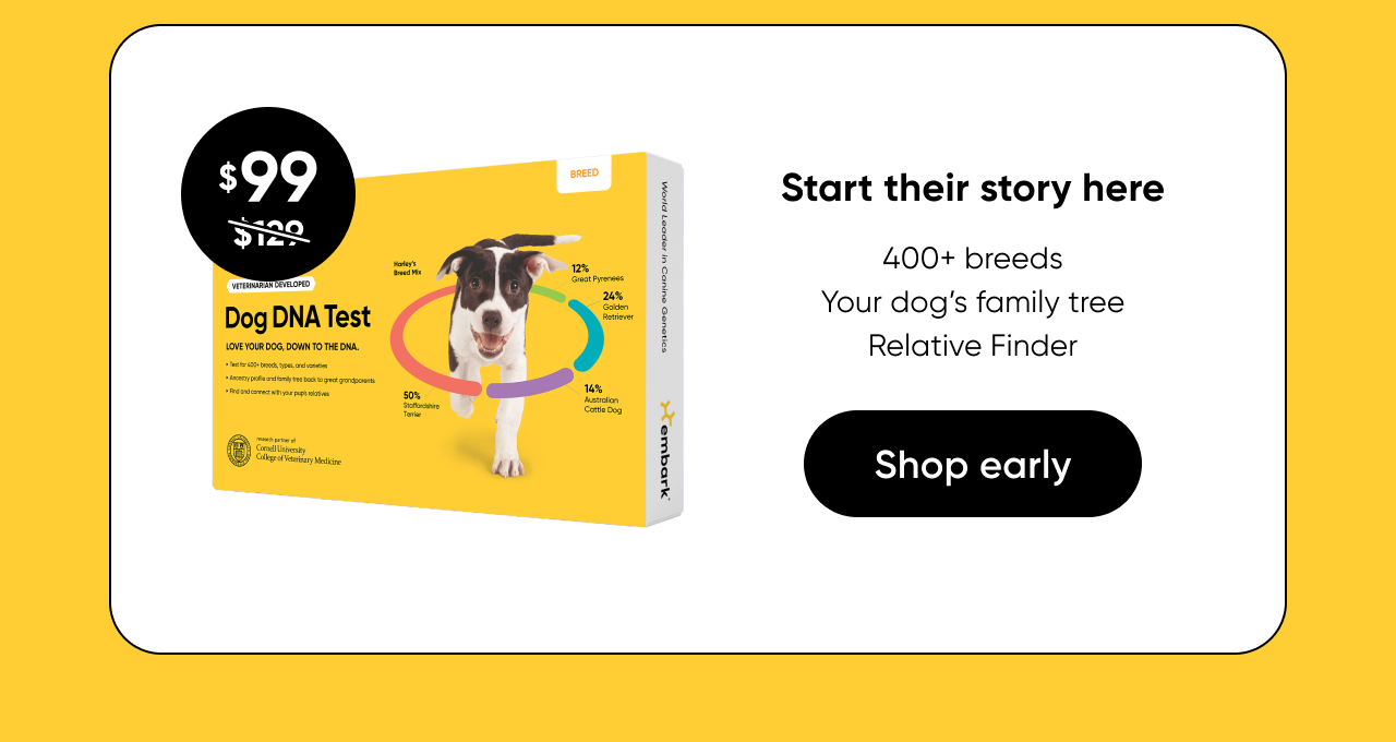 Shop Breed ID Test