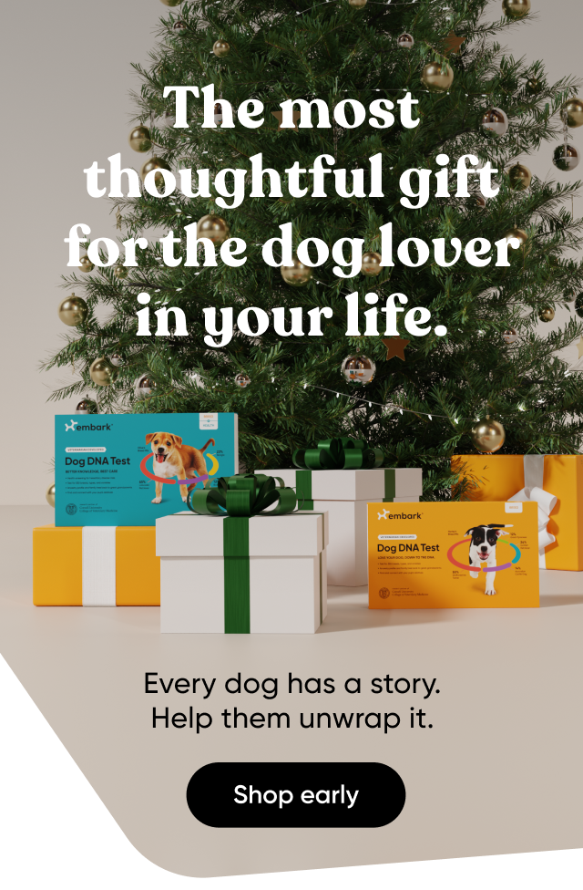 Embark Dog DNA Tests are the holiday's most trusted gift for dog lovers