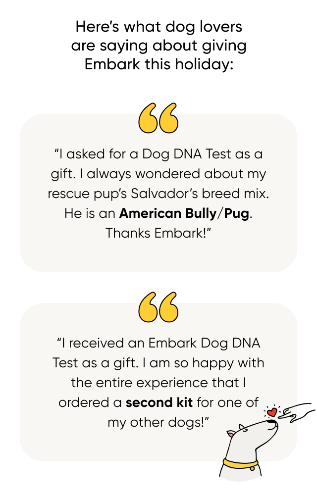 Embark Dog DNA Tests are the holiday's most trusted gift for dog lovers
