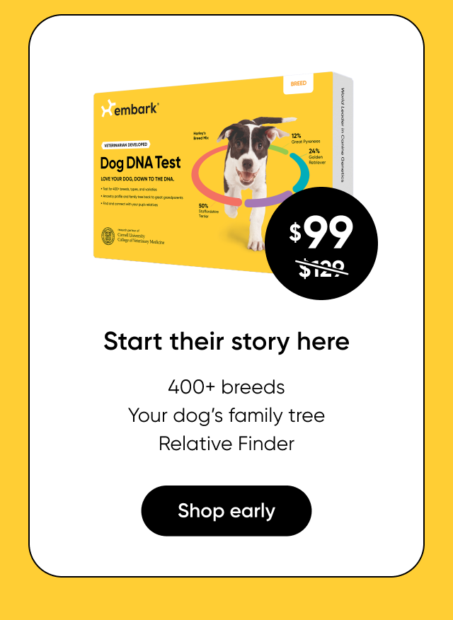 Shop Breed ID Test