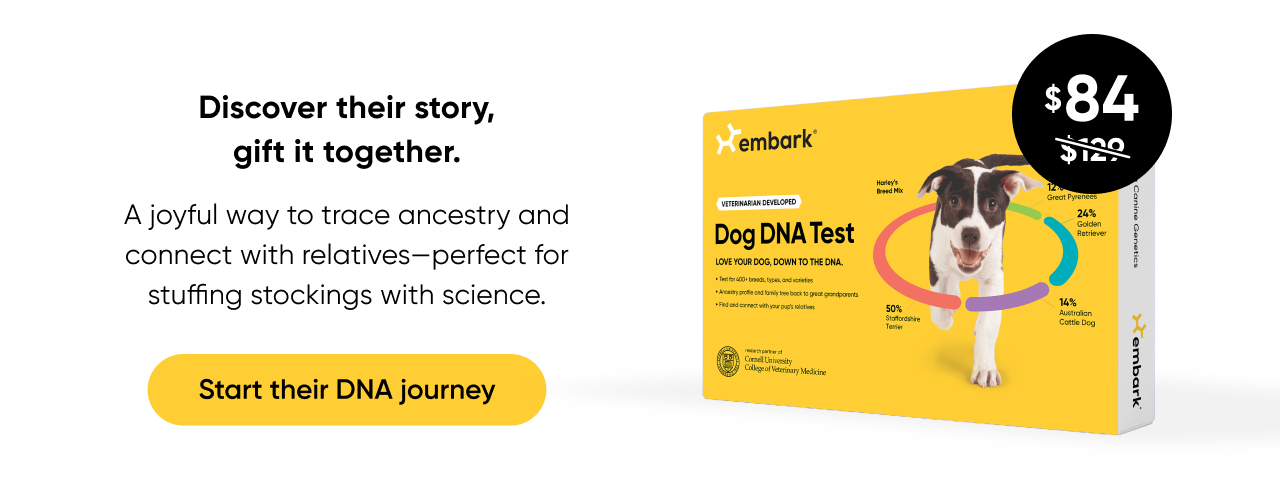 Shop Breed ID Test