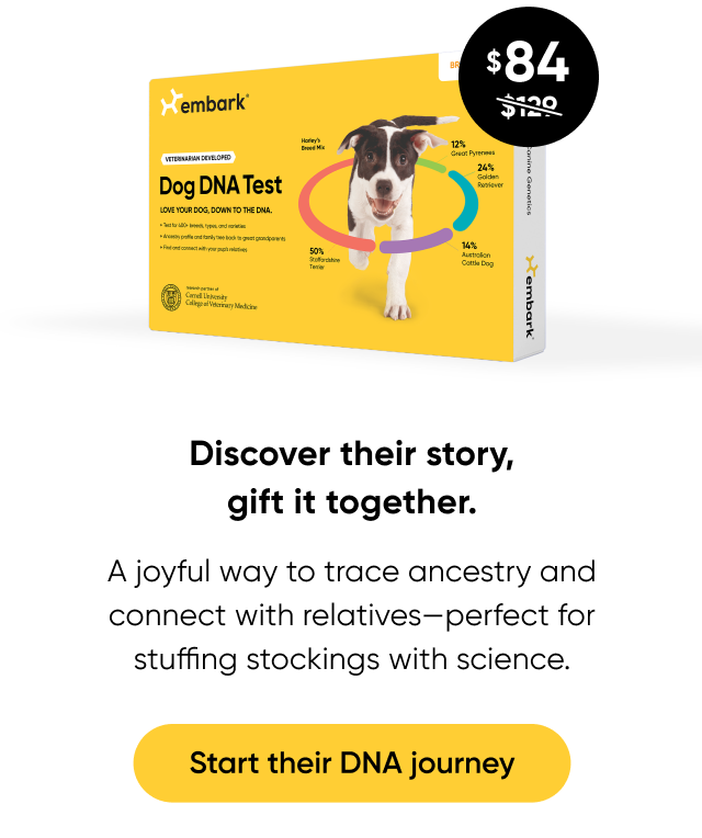 Shop Breed ID Test