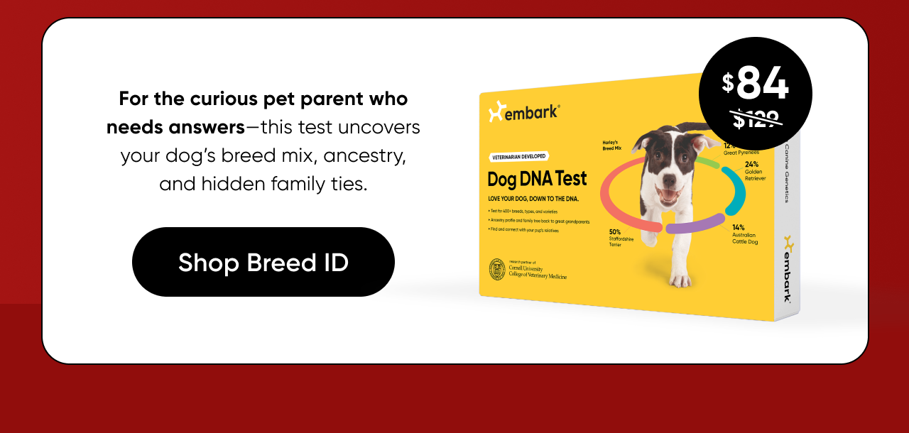 Shop Breed ID Test on Amazon