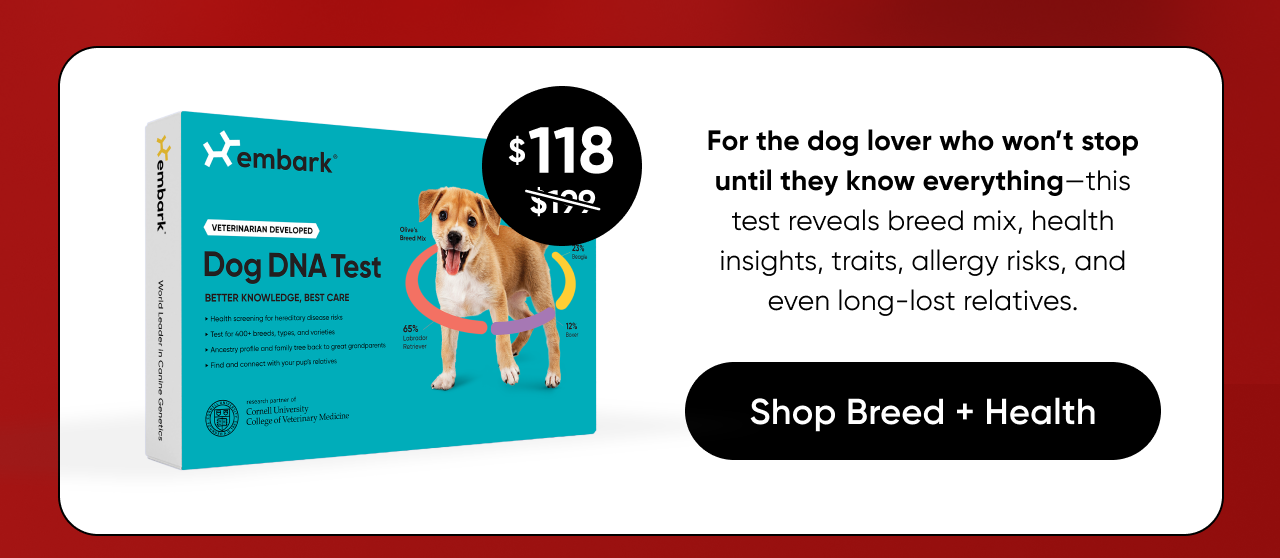 Shop Breed + Health Test on Amazon