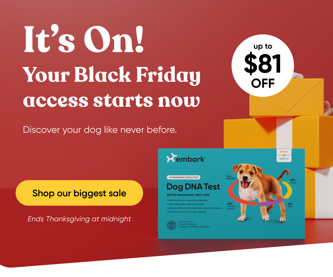 It's on! Your Black Friday access starts now. Discover your dog like never before. Shop our biggest sale. Ends Thanksgiving at midnight