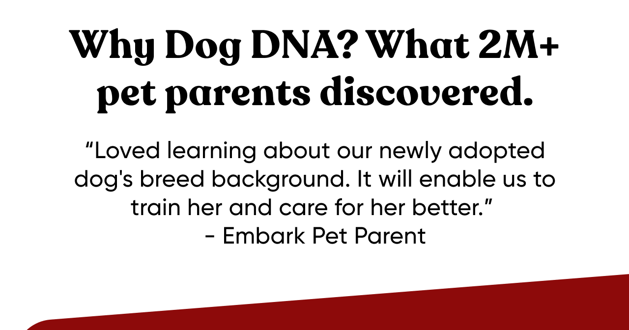 Why Dog DNA? What 2M+ pet parents discovered. 