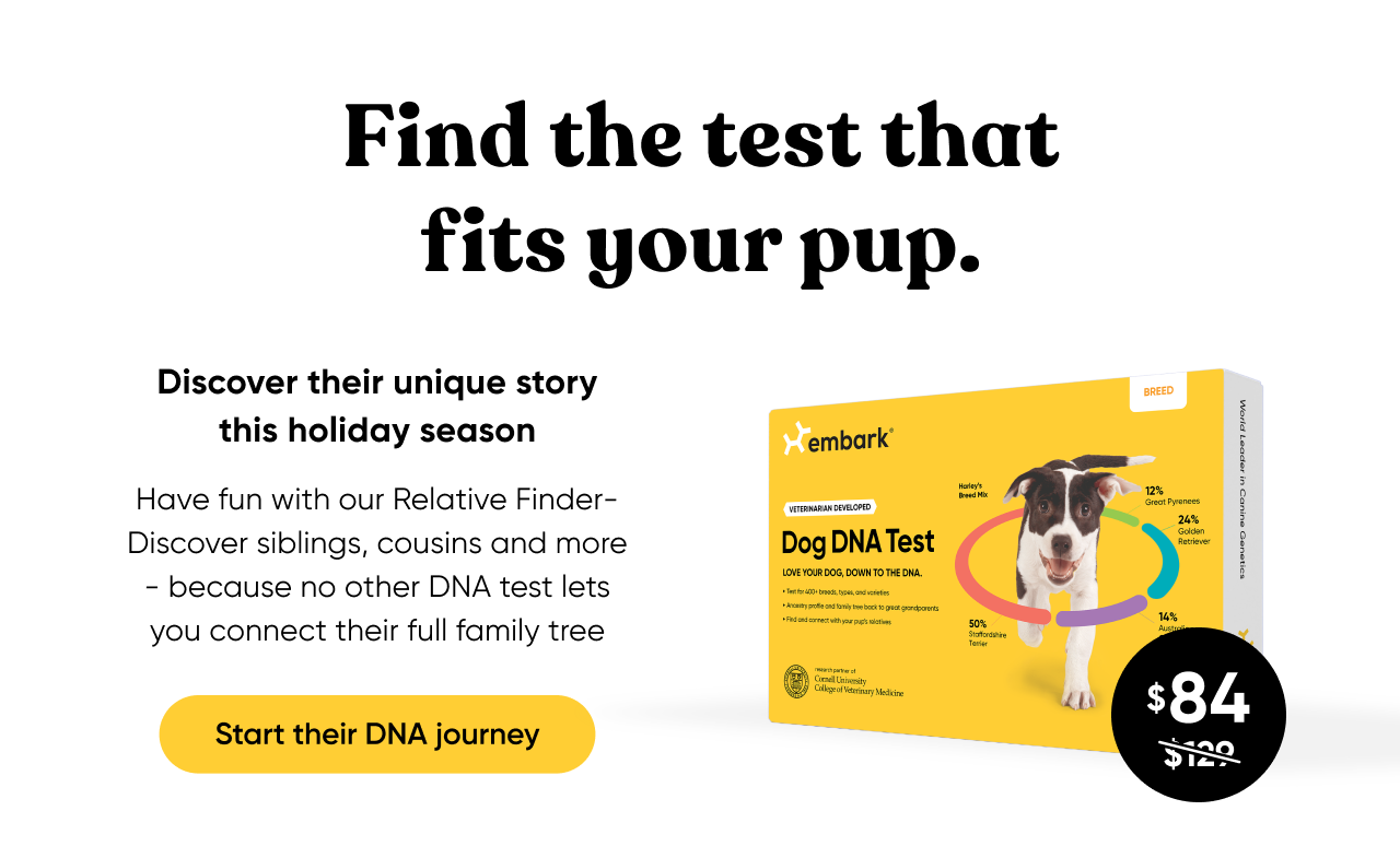 Start their DNA journey. Shop Breed ID Test