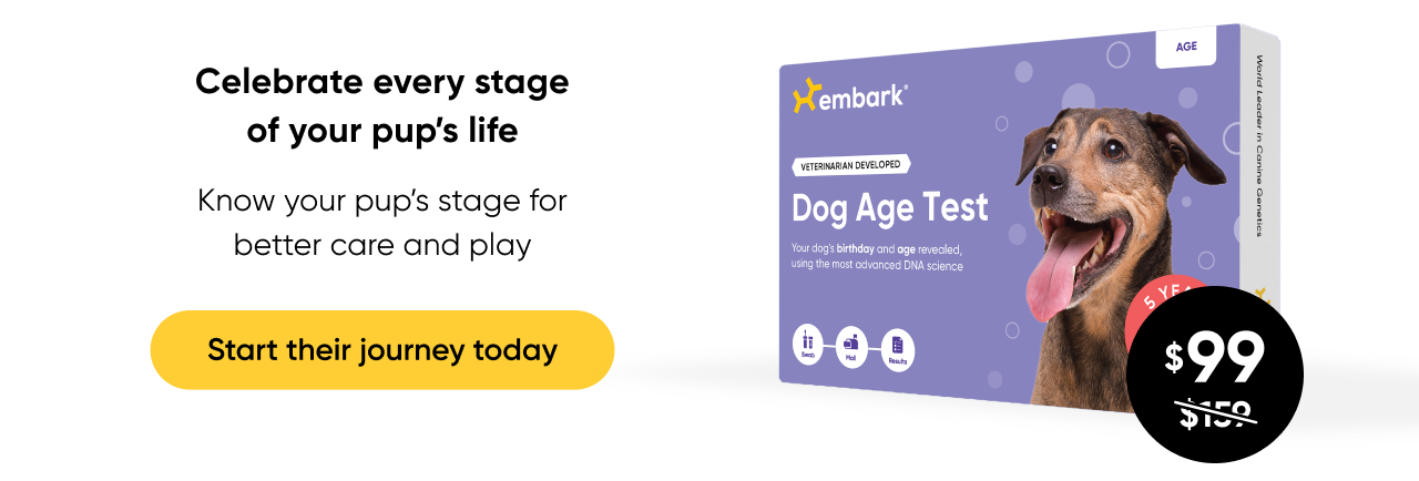 Celebrate every stage of your pup's life. Shop Age Test