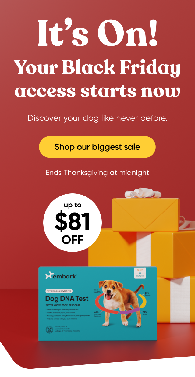 It's on! Your Black Friday access starts now. Discover your dog like never before. Shop our biggest sale. Ends Thanksgiving at midnight