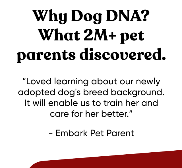 Why Dog DNA? What 2M+ pet parents discovered. 