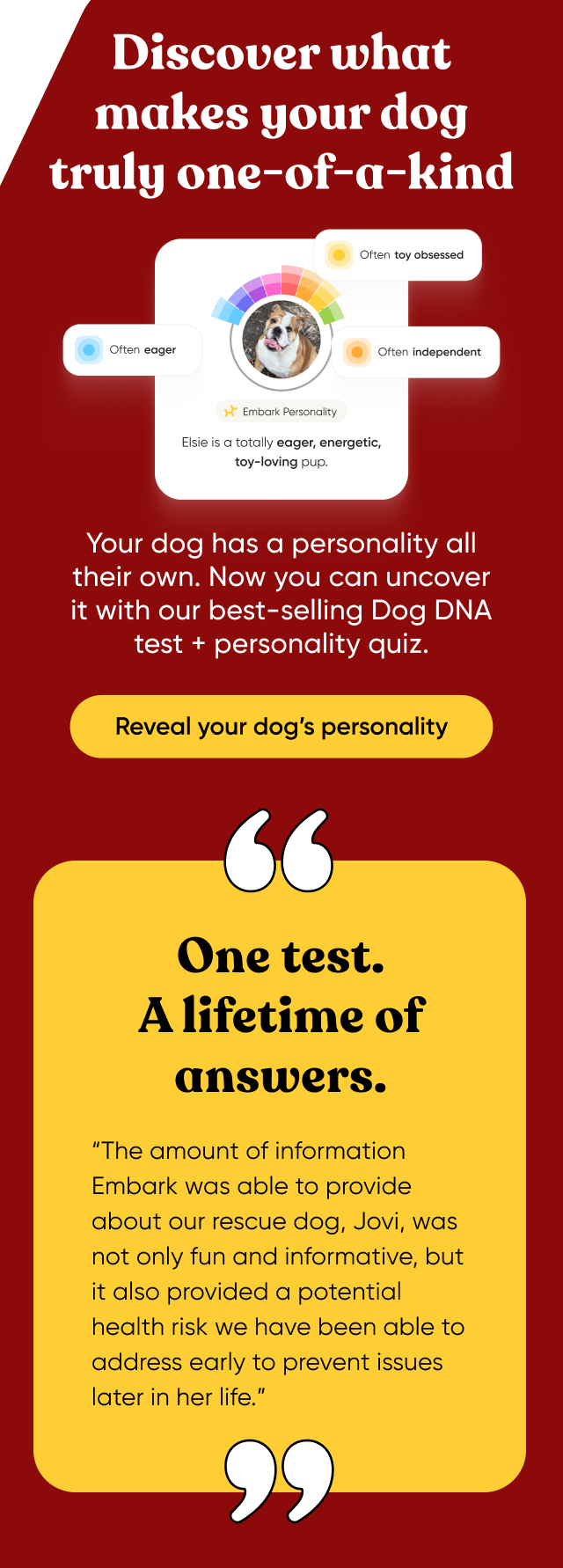 Discover what makes your dog truly one-of-a-kind. Your dog has a personality all their own. Now you can uncover it with our best-selling Dog DNA Test + personality quiz. Reveal your dog's personality.