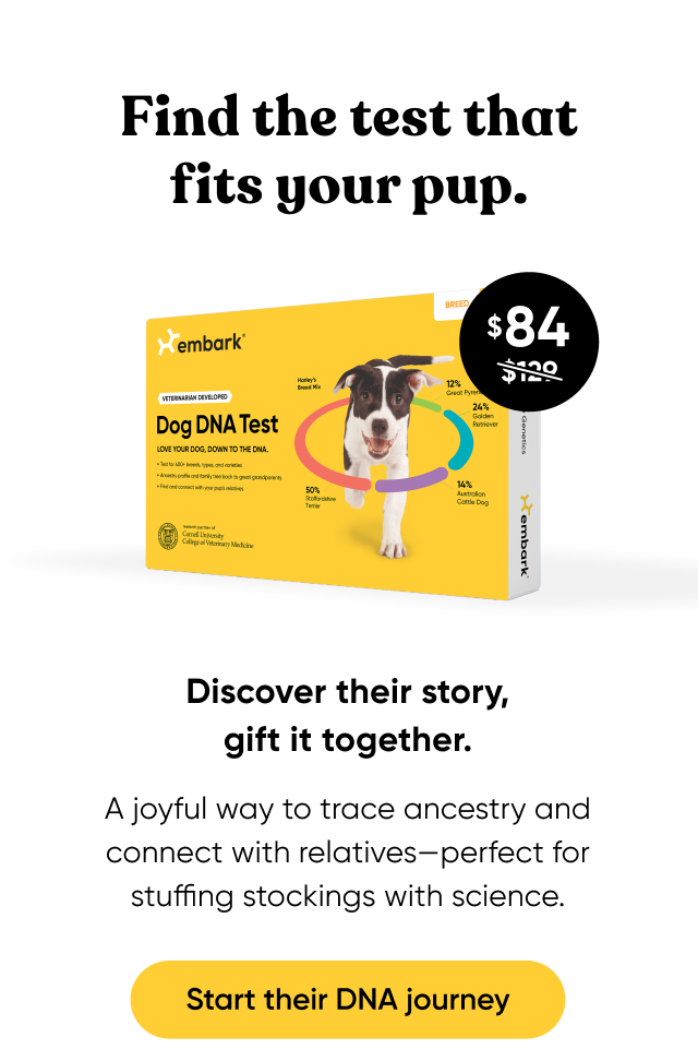 Start their DNA journey. Shop Breed ID Test