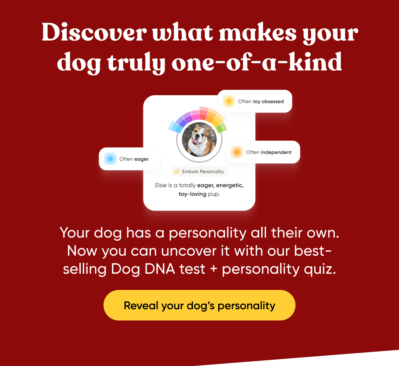 Discover what makes your dog truly one-of-a-kind. Your dog has a personality all their own. Now you can uncover it with our best-selling Dog DNA Test + personality quiz. Reveal your dog's personality.