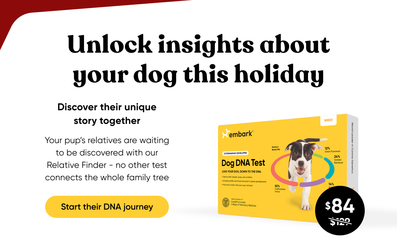 Start their DNA journey. Shop Breed ID Test