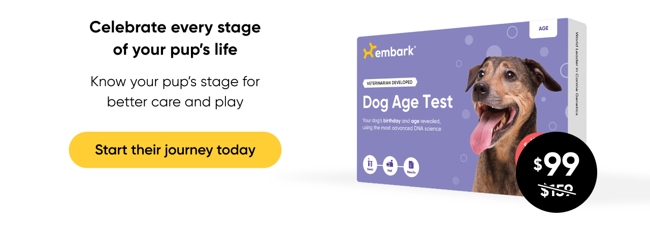 Celebrate every stage of your pup's life. Shop Age Test