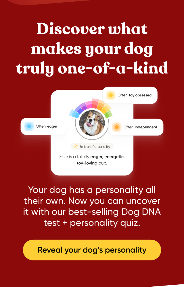 Discover what makes your dog truly one-of-a-kind. Your dog has a personality all their own. Now you can uncover it with our best-selling Dog DNA Test + personality quiz. Reveal your dog's personality.