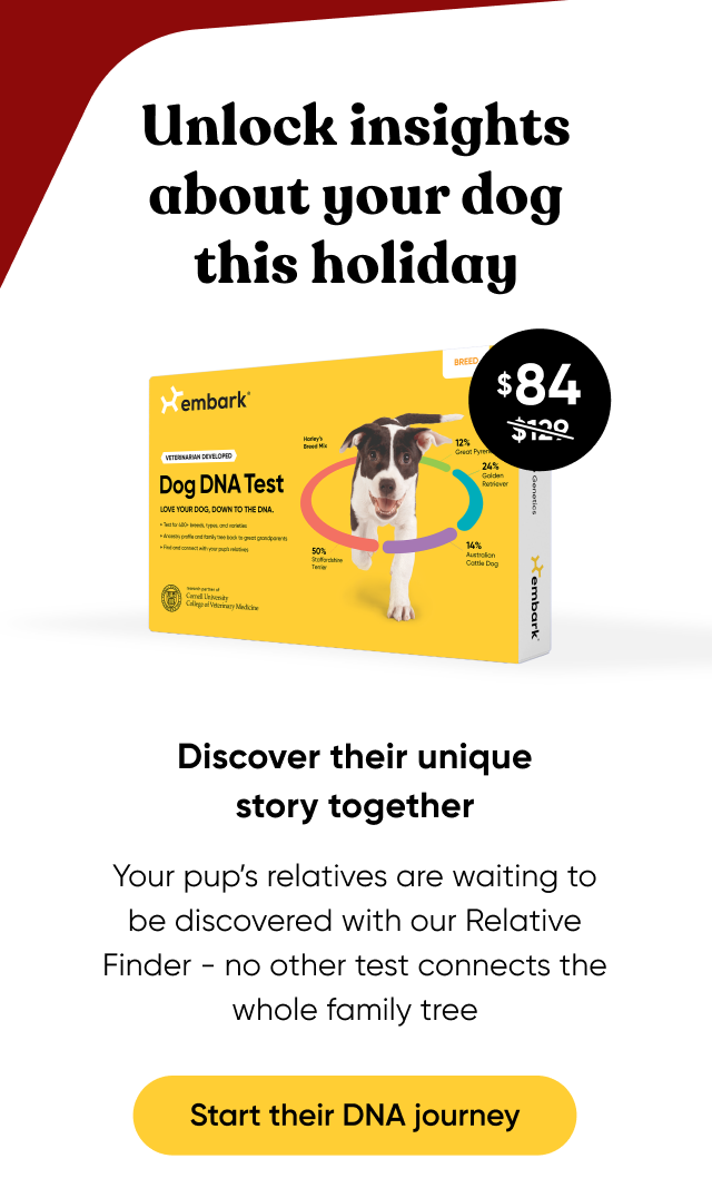 Start their DNA journey. Shop Breed ID Test