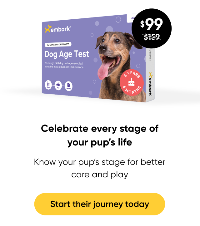 Celebrate every stage of your pup's life. Shop Age Test