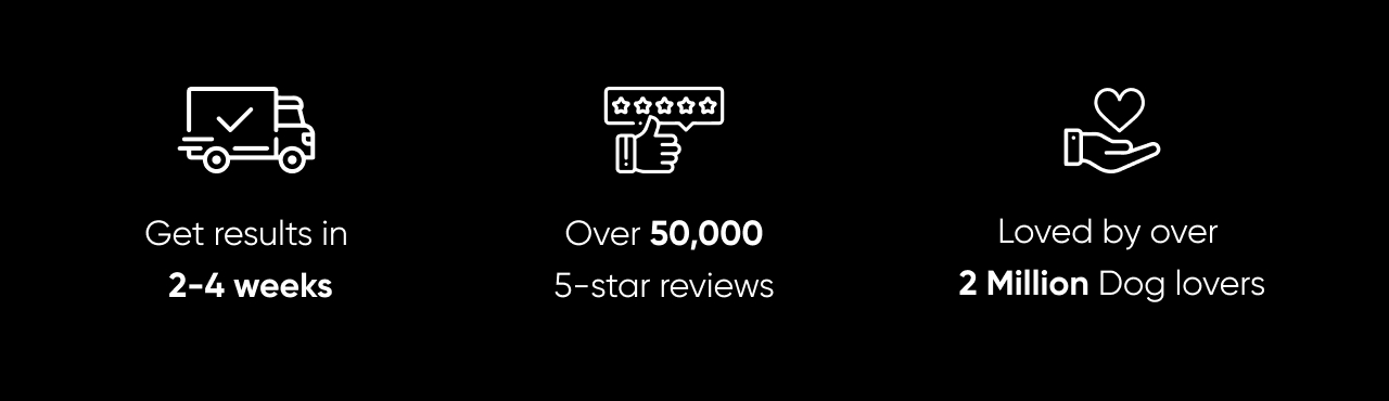 Embark
