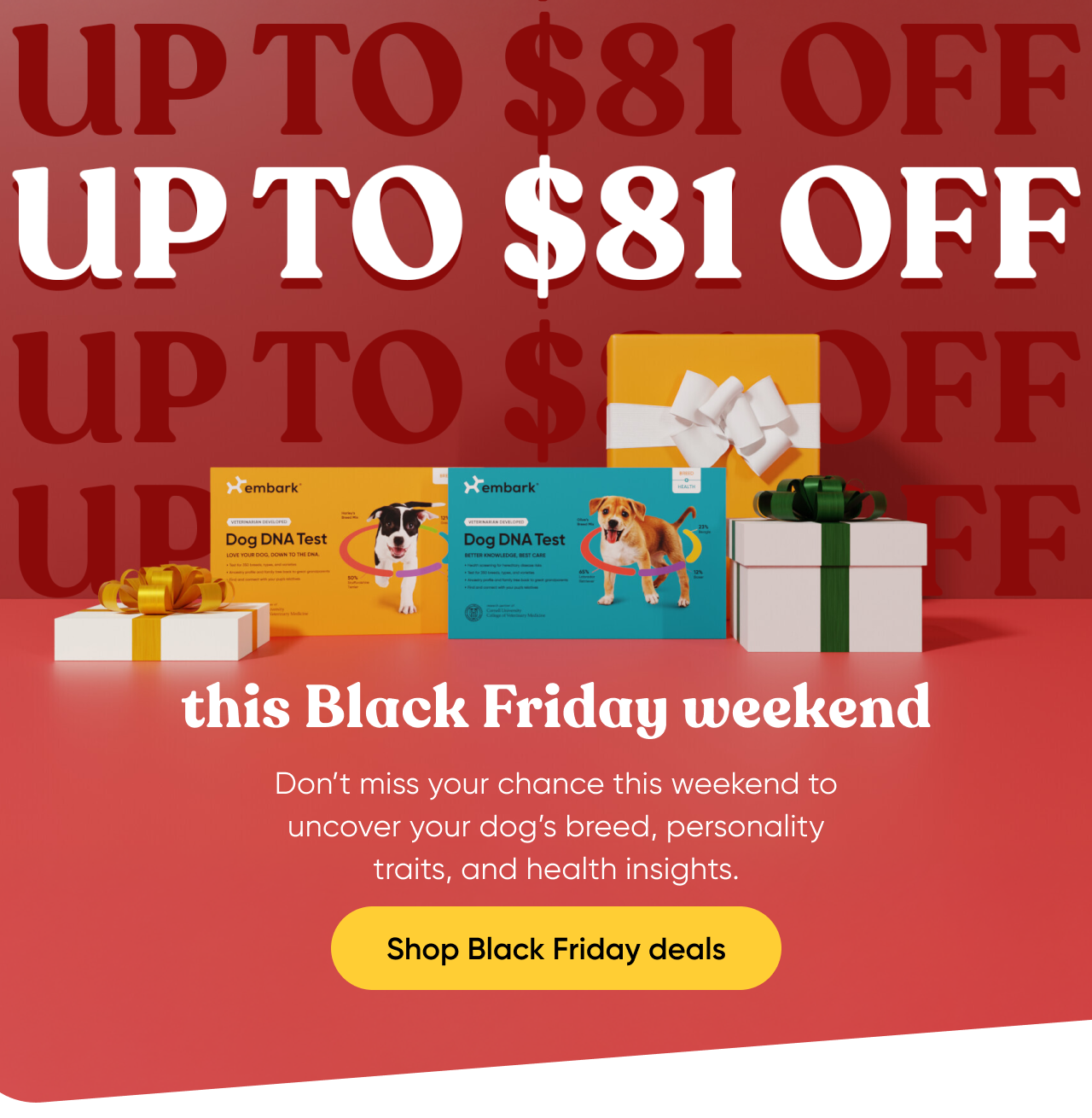 Up to $81 off this Black Friday weekend. Don't miss your chance this weekend to uncover your dog's breed, personality traits, and health insights. Shop Black Friday deals.