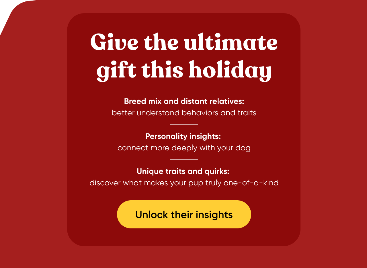 Give the ultimate gift this holiday. Unlock their insights.