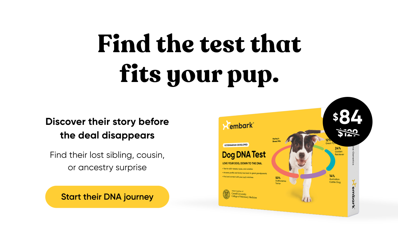 Discover their unique story together. Shop Breed ID Test