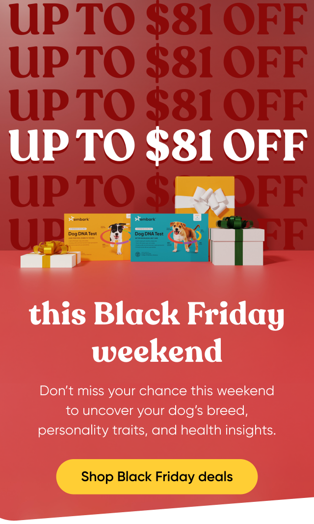 Up to $81 off this Black Friday weekend. Don't miss your chance this weekend to uncover your dog's breed, personality traits, and health insights. Shop Black Friday deals.
