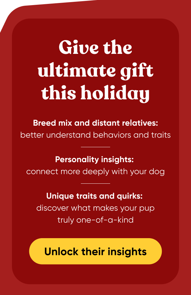 Give the ultimate gift this holiday. Unlock their insights.