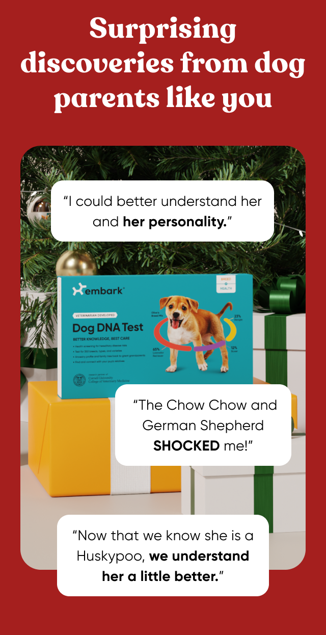Surprising discoveries from dog parents like you