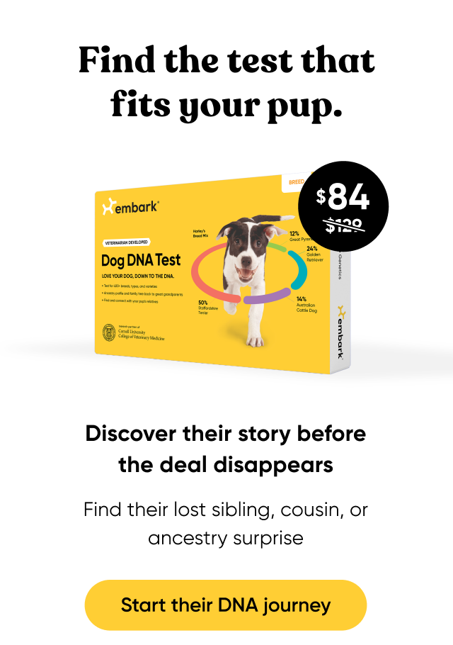 Discover their unique story together. Shop Breed ID Test