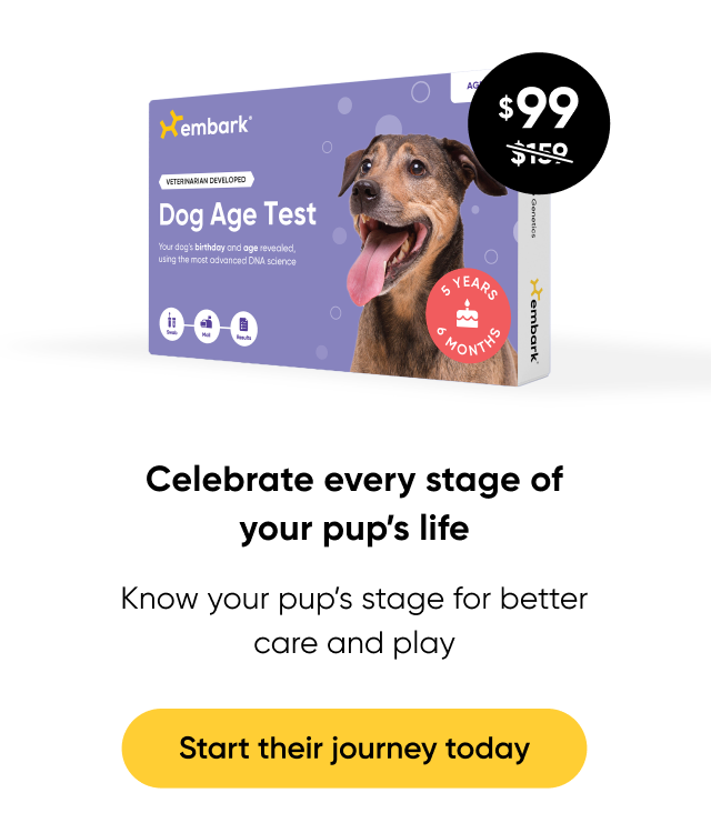 Celebrate every stage of your pup's life. Shop Age Test